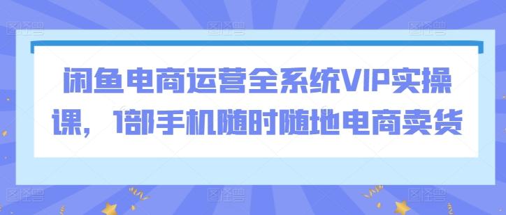闲鱼电商运营全系统VIP实操课，1部手机随时随地电商卖货-董叔项目网