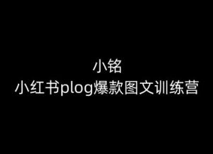 小铭-小红书plog爆款图文训练营，教你从0-1做小红书-董叔项目网