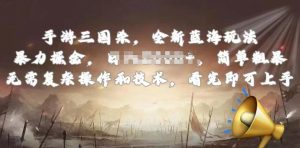 手游三国杀最新蓝海玩法，简单粗暴，无需复杂的操作和技术，看完即可上手【揭秘】-董叔项目网