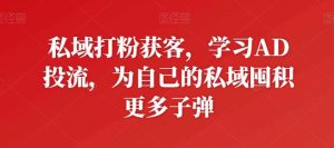 私域打粉获客，学习AD投流，为自己的私域囤积更多子弹-董叔项目网