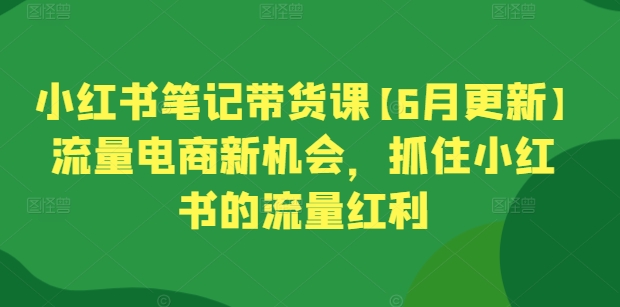 小红书笔记带货课【6月更新】流量电商新机会，抓住小红书的流量红利-董叔项目网