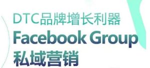DTC品牌增长利器：Facebook Group私域营销策略-董叔项目网