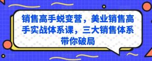 销售高手蜕变营，美业销售高手实战体系课，三大销售体系带你破局-董叔项目网