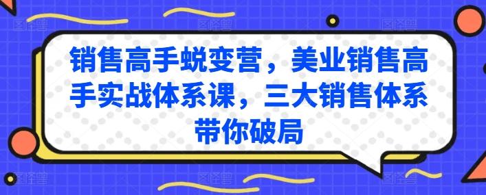 销售高手蜕变营，美业销售高手实战体系课，三大销售体系带你破局-董叔项目网