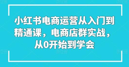 小红书电商运营从入门到精通课，电商店群实战，从0开始到学会-董叔项目网