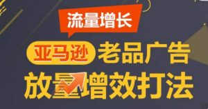 亚马逊流量增长-老品广告放量增效打法，循序渐进，打造更多TOP listing​-董叔项目网