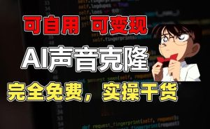 1分钟素材克隆出完美声音，秒杀市面所有配音软件，完全免费，实操干货+变现教程【揭秘】-董叔项目网