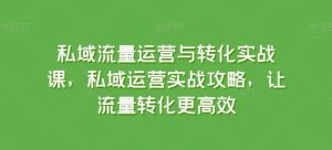 私域流量运营与转化实战课,私域运营实战攻略,让流量转化更高效-董叔项目网