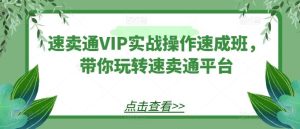 速卖通VIP实战操作速成班，带你玩转速卖通平台-董叔项目网