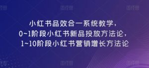小红书品效合一系统教学，​0~1阶段小红书新品投放方法论，​1~10阶段小红书营销增长方法论-董叔项目网