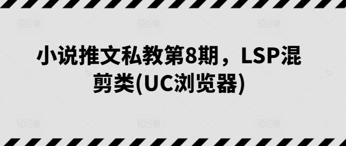 小说推文私教第8期，LSP混剪类(UC浏览器)-董叔项目网