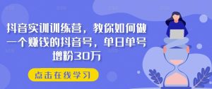 抖音实训训练营，教你如何做一个赚钱的抖音号，单日单号增粉30万-董叔项目网