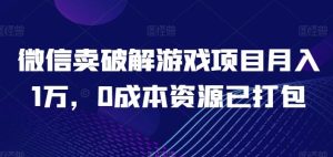 微信卖破解游戏项目月入1万，0成本资源已打包【揭秘】-董叔项目网