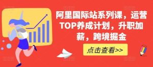 阿里国际站系列课，运营TOP养成计划，升职加薪，跨境掘金-董叔项目网