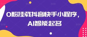 0粉挂载抖音快手小程序，AI智能起名-董叔项目网