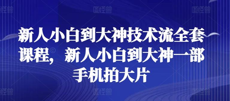 新人小白到大神技术流全套课程，新人小白到大神一部手机拍大片-董叔项目网