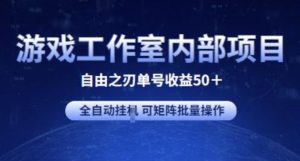 游戏工作室内部项目 自由之刃2 单号收益50+ 全自动挂JI 可矩阵批量操作【揭秘】-董叔项目网