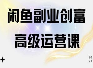 闲鱼电商运营高级课程，一部手机学会闲鱼开店赚钱-董叔项目网