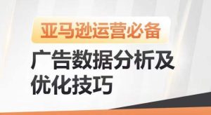 亚马逊广告数据分析及优化技巧,高效提升广告效果,降低ACOS,促进销量持续上升-董叔项目网