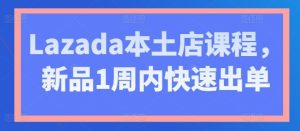 Lazada本土店课程,新品1周内快速出单-董叔项目网