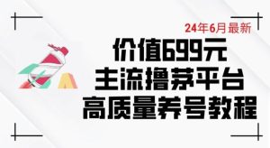 6月最新价值699的主流撸茅台平台精品养号下车攻略【揭秘】-董叔项目网