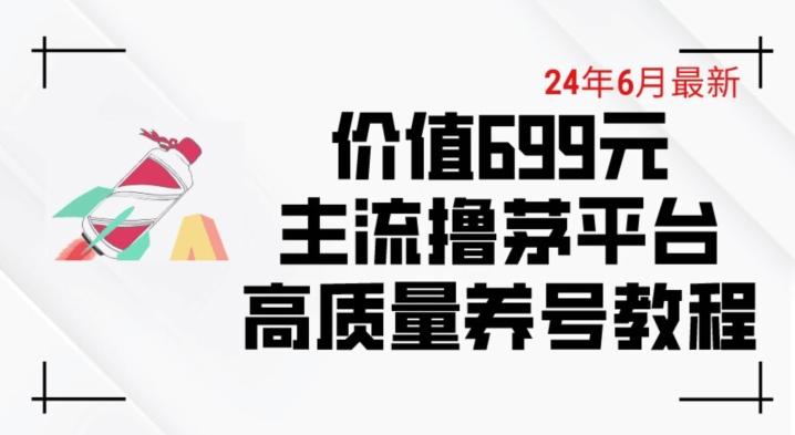 6月最新价值699的主流撸茅台平台精品养号下车攻略【揭秘】-董叔项目网
