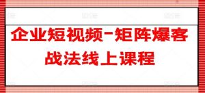 企业短视频-矩阵爆客战法线上课程-董叔项目网