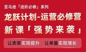 亚马逊进阶必修系列,龙跃计划-运营必修营新课,让卖家实现提升 让单量实现增长-董叔项目网