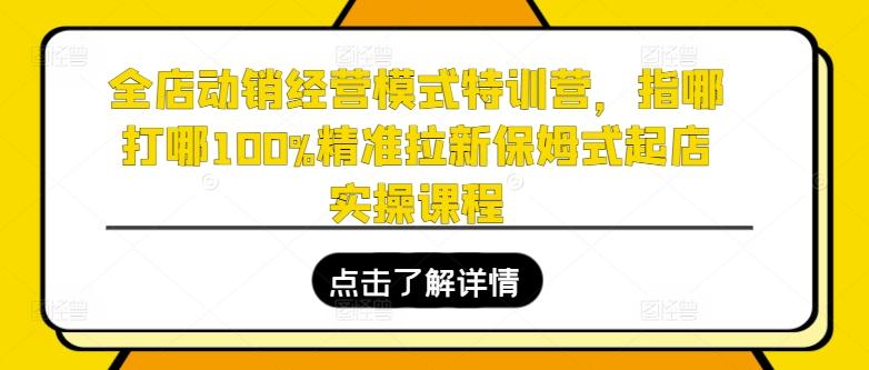 全店动销经营模式特训营，指哪打哪100%精准拉新保姆式起店实操课程-董叔项目网
