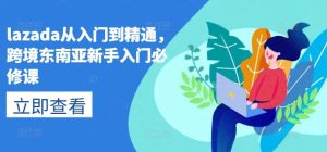 lazada从入门到精通，跨境东南亚新手入门必修课-董叔项目网