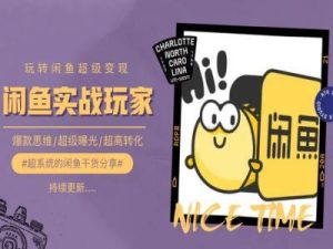 手把手教你0到1系统玩转闲鱼变现，爆款思维/超级曝光/超高转化-董叔项目网