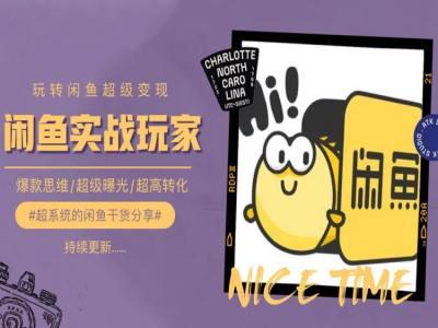 手把手教你0到1系统玩转闲鱼变现，爆款思维/超级曝光/超高转化-董叔项目网