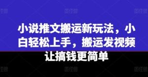 小说推文搬运新玩法，小白轻松上手，搬运发视频让搞钱更简单-董叔项目网
