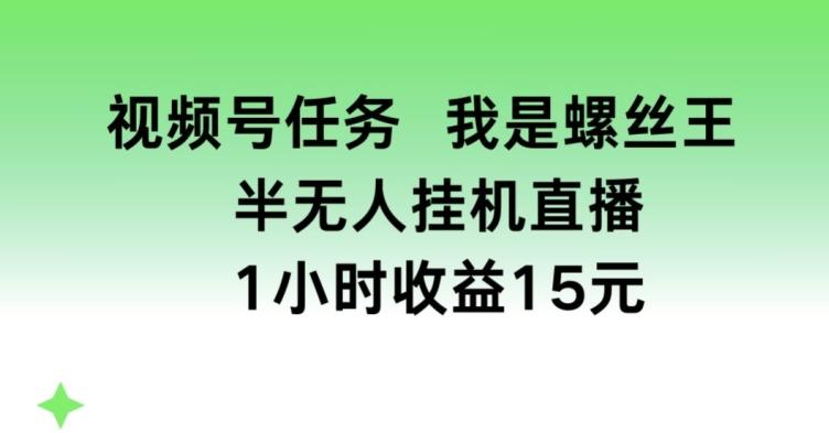 视频号任务，我是螺丝王， 半无人挂机1小时收益15元【揭秘】-董叔项目网