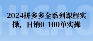 2024拼多多全系列课程实操,日销0-100单实操【必看】-董叔项目网