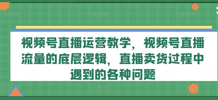 视频号直播运营教学，视频号直播流量的底层逻辑，直播卖货过程中遇到的各种问题-董叔项目网