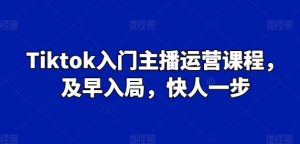 Tiktok入门主播运营课程，及早入局，快人一步-董叔项目网
