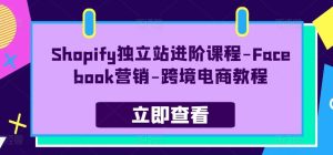 Shopify独立站进阶课程-Facebook营销-跨境电商教程-董叔项目网