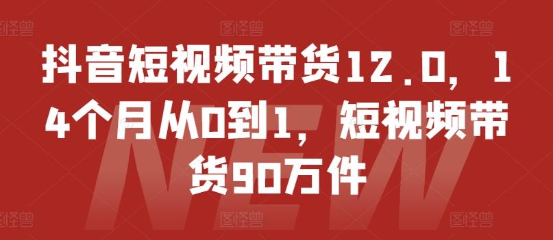 抖音短视频带货12.0，14个月从0到1，短视频带货90万件-董叔项目网