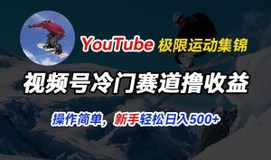 视频号冷门赛道撸收益，YouTube搬运极限运动集锦，暴力起号，操作简单流量高，轻松日入5张【揭秘】-董叔项目网