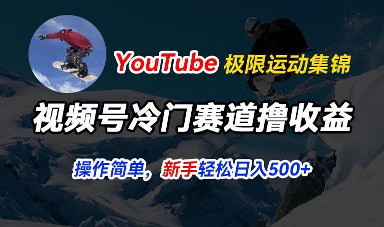 视频号冷门赛道撸收益，YouTube搬运极限运动集锦，暴力起号，操作简单流量高，轻松日入5张【揭秘】-董叔项目网