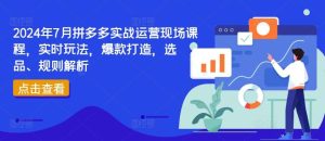 2024年7月拼多多实战运营现场课程,实时玩法,爆款打造,选品、规则解析-董叔项目网