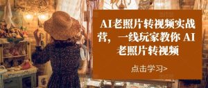 AI老照片转视频实战营，一线玩家教你AI老照片转视频-董叔项目网
