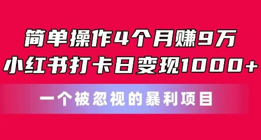简单操作4个月赚9w，小红书打卡日变现1k，一个被忽视的暴力项目【揭秘】-董叔项目网
