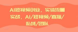 AI短视频创业，实体流量实战，AI/短视频/直播/私域/团队-董叔项目网