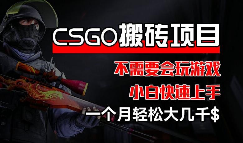 CSGO 装备搬砖项目，操作简单，不需要会玩游戏，小白也能快速上手，一个月轻松大几千【揭秘】-董叔项目网