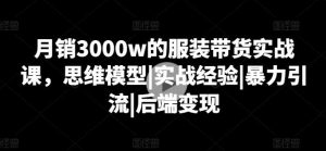 月销3000w的服装带货实战课,思维模型|实战经验|暴力引流|后端变现-董叔项目网