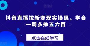 抖音直播拉新变现实操课，学会一周多挣五六百-董叔项目网