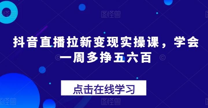 抖音直播拉新变现实操课，学会一周多挣五六百-董叔项目网