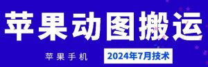 2024年7月苹果手机动图搬运技术-董叔项目网